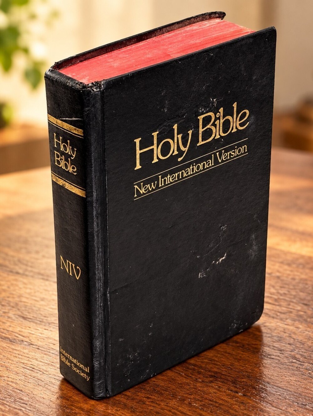 Vintage 1978 NIV Holy Bible Black Hardcover Red Page Edges International Bible